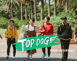 TikTok成人版《TOP DOG》免费在线观看
