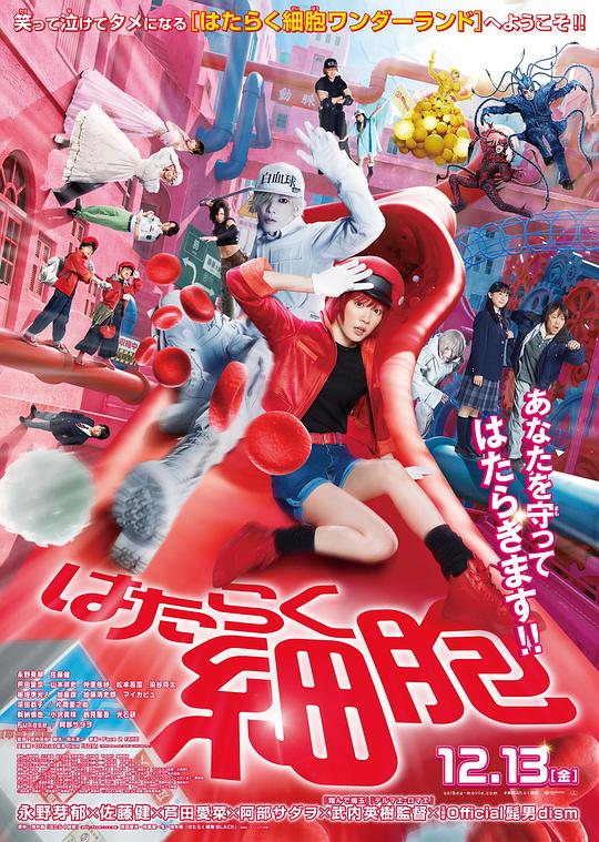 SWAG合集《工作细胞 真人版 はたらく細胞》免费在线观看