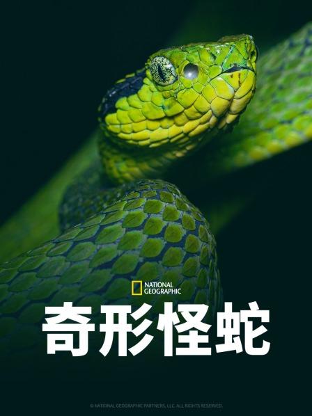 TXVLOG糖心官网《奇形怪蛇》免费在线观看